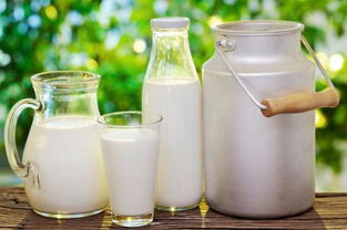 8优质乳制品项目在京沪深圳三地联动 推动政企精准对接